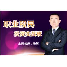 陈辉 职业股民投资实战 股票内部培训视频