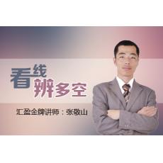 张敬山 看线辨多空 炒股内部实战培训视频课程