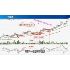 谭记恩 定式形态结构逻辑高胜率盈亏比本能交易 股票内部培训视频课程